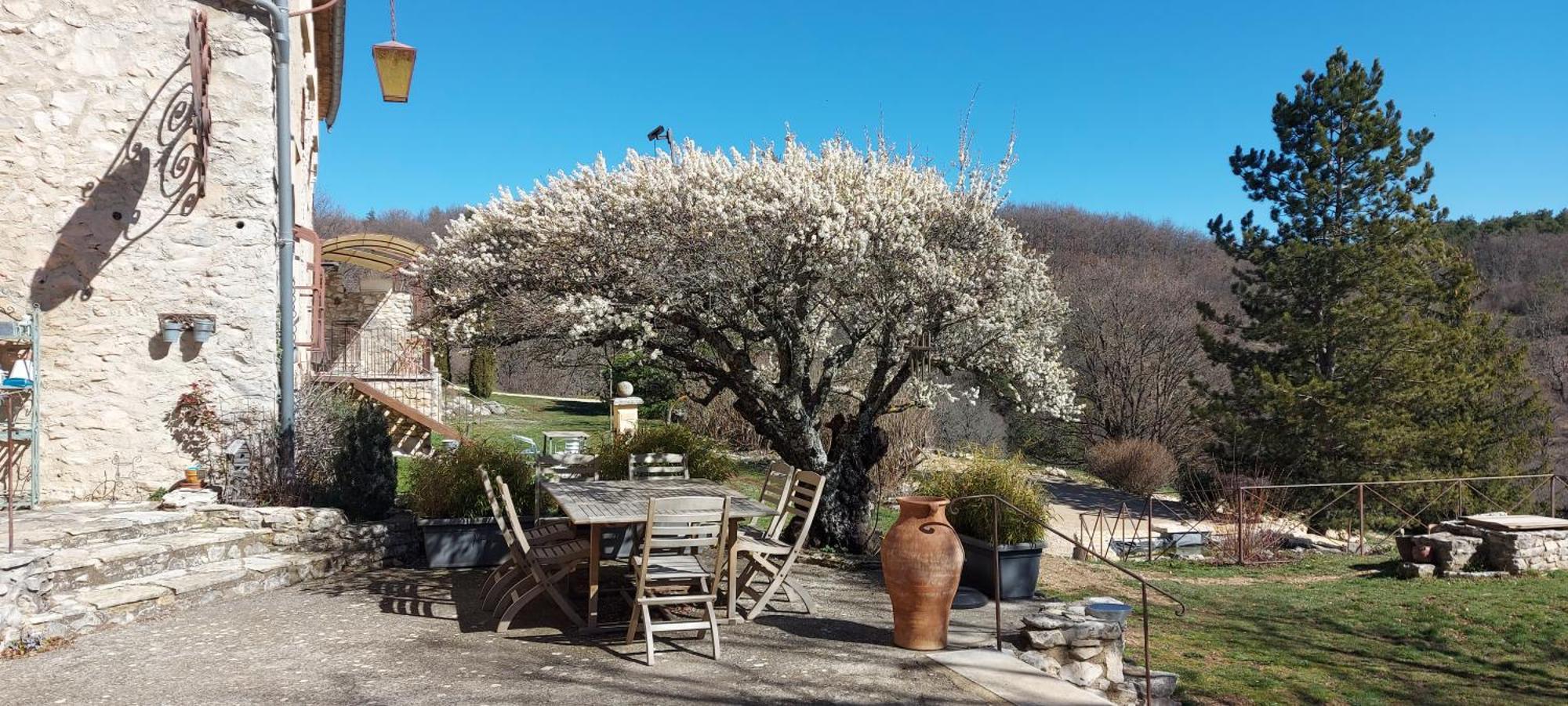 Le Domaine De Piedmoure, Gites Et Chambres D'Hotes, Piscine, Terrasses Privatives Sault Extérieur photo